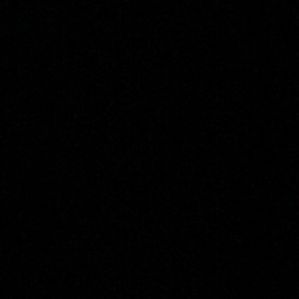 Meet your Posher, Rosalie